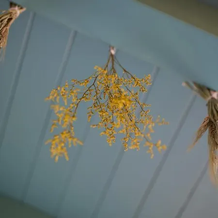 Marengo スピネッタ