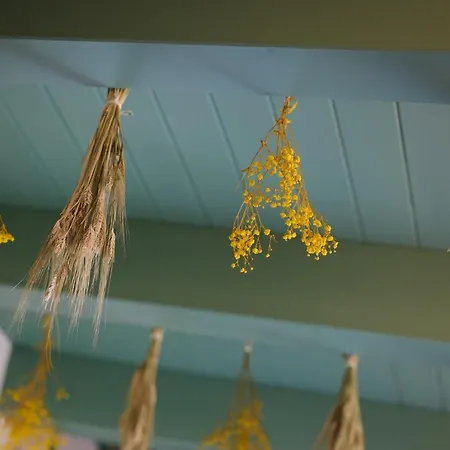 ゲストハウス Marengo 4*