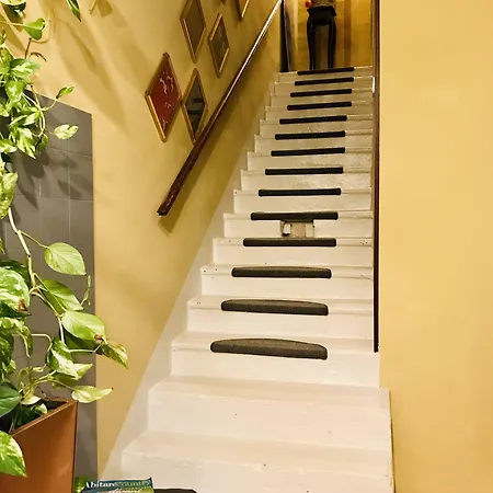 ゲストハウス Marengo スピネッタ