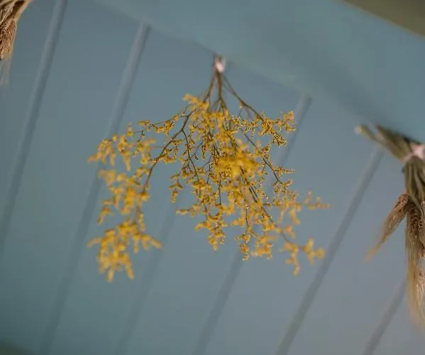 Marengo Spinetta Marengo