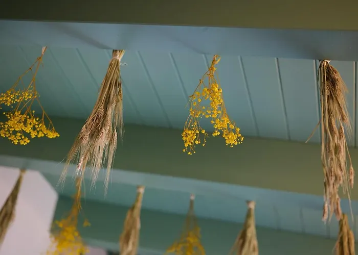 Pensionat Marengo 4*